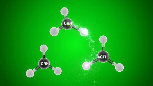 Detailed 3D CGI Medical Animation of CRH ACTH Molecules on Green Screen for Scientific Educational and Commercial Use
