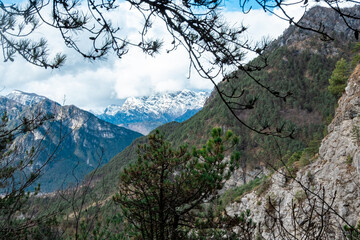 Obraz premium Mountain valley view framed by pine trees and rocky cliff under cloudy sky
