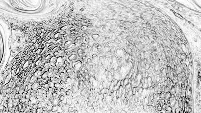 A refined monochrome paint surface emphasizing form and texture rather than color. The balanced grayscale tones make it suitable for modern layouts, presentations, and conceptual visuals.