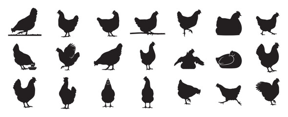 hen silhouette icons set with farm poultry poses vector illustration, black hen silhouettes collection showing standing and walking farm animals vector illustration, farm hen silhouette set