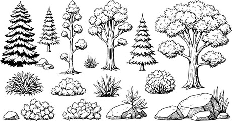 Collection of hand drawn forest elements including trees bushes and rocks in black and white
