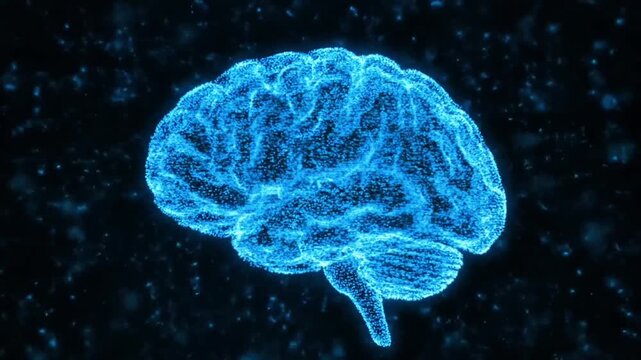 3d rendered illustration of a brain