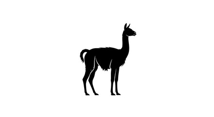 Obraz premium Silhouette of a Llama Standing Tall Against a White Background.
