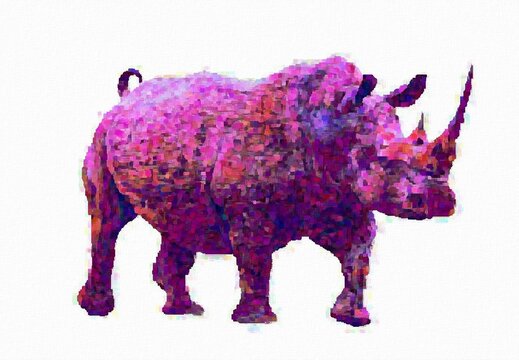 Rhinoceros