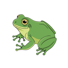 Green Cartoon Frog Illustration
