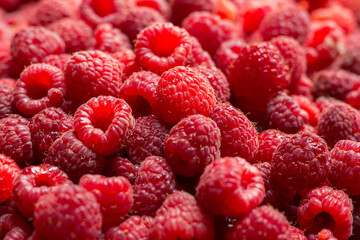 Close up of fresh red raspberries in bulk. Red fruits © seba