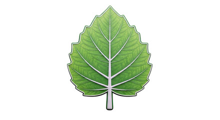 Green Leaf with White Veins