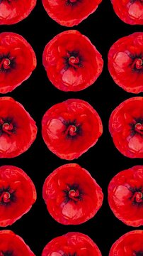 Vertical seamless loop animation of vivid red poppies on deep black background, forming bold floral pattern ideal for modern design, decoration, motion graphics, and artistic visuals