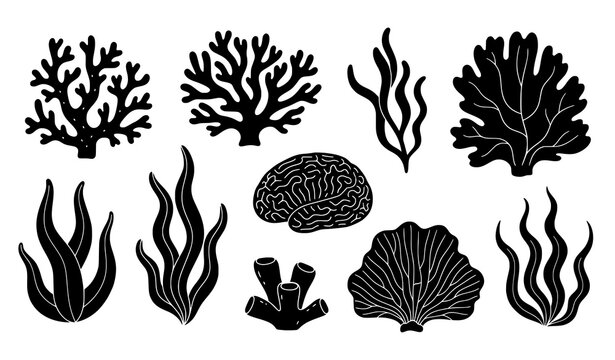 Black coral and seaweed silhouette vector set with abstract underwater plants and marine floral shapes