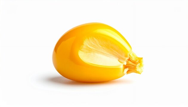 Single Corn Kernel Isolated on White Background.