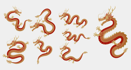 Obraz premium Chinese Dragon Vector Decorative Element