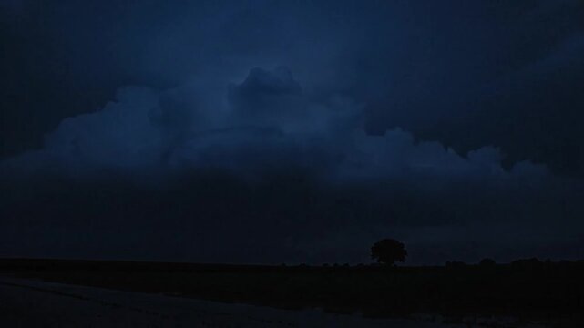 A solitary tree stands silhouetted against a dramatic sky ablaze with lightning