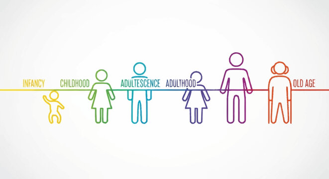Human life cycle stages represented by colorful outline icons, showing growth and aging from infancy to old age.