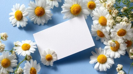 Obraz premium Elegant Composition of White Daisy Flowers Surrounding a Blank Business Card on a Soft Blue Background, Perfect for Personal or Professional Branding Needs