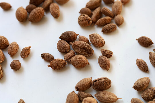 Dried Amomum villosum fruits or Sha Ren
