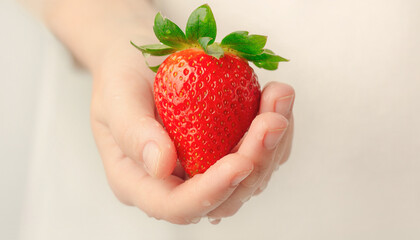 Fresh ripe red strawberry fruit held by hands. Suitable for food blogs, recipe websites, healthy living articles, and social media.