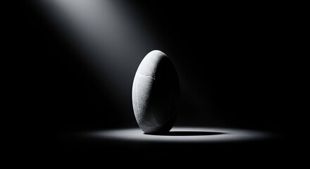Mysterious Egg Illuminated by Dramatic Spotlight in Darkness.