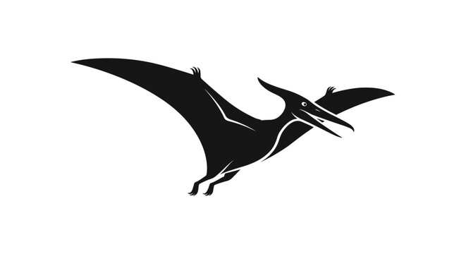 Black Pterodactyl Flying Silhouette Illustration.