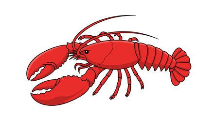 Red Lobster Illustration on White Background.