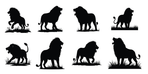 Obraz premium Black lion silhouettes in various poses on white background