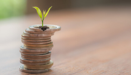 Seedling growing from money. Represents financial growth, investment, savings. Perfect for finance, investment, business concepts in design projects.