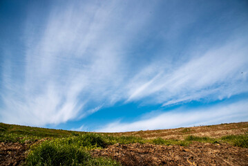 三浦海岸2624　小松が池公園15　青空