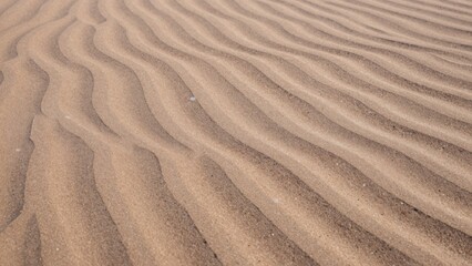 Close-up sandy beach taken low angle highlighting intricate rippled patterns sand texture clearly visible varying