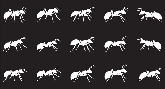 ant silhouettes collection. various ant set vector icons on black background
