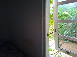 Fototapeta premium Open Window with Green Plants and Natural Light from Garden