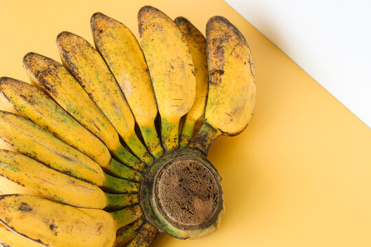 A bunch of saba bananas (pisang kepok) in the bottom left corner. Captured in natural light on a yellow and white background.