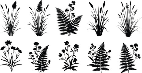 Collection of ten black silhouette wild grass, fern and flower plants, vector illustration isolated on white background for nature field landscape design © Krisna