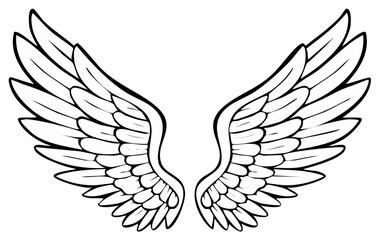 Fototapeta premium Pair of detailed stylized wings, monochrome illustration with outline, angel or bird design