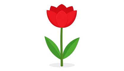 Obraz premium Red tulip illustration