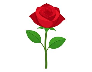 Naklejka premium Red rose illustration