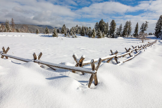 winter scene of a snow-covered field on a beautiful day near Whitefish, Montana