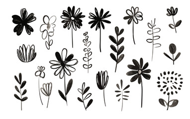 Colecci&oacute;n de ilustraciones de flores y hojas dibujadas a mano con tinta negra sobre un fondo blanco transparente para dise&ntilde;os bot&aacute;nicos minimalistas.