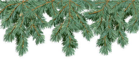 Borde superior de ramas de pino verde y abeto sobre fondo blanco ideal para dise&ntilde;os navide&ntilde;os, tarjetas de invierno y marcos naturales.