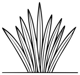 Fototapeta premium Stylized line art illustration of a clump of grass or a small plant