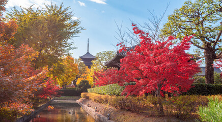 Gion,The district was built to accommodate the needs of travellers and visitors to the shrine.It eventually evolved to become one of the most exclusive and well-known geisha districts in all of Japan