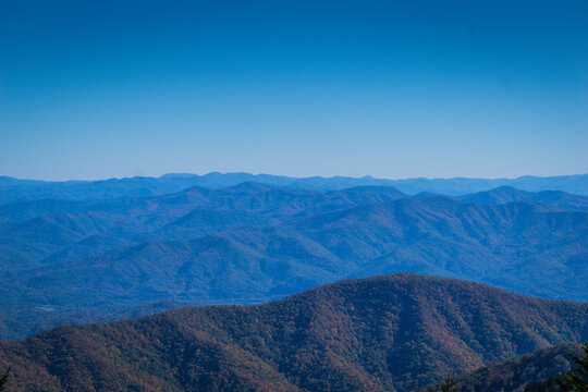 The mountains are covered in trees and the sky is a beautiful blue