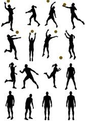 Fototapeta premium Volleyball Silhouettes: A Dynamic Set