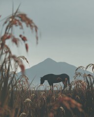 Horse Grazing in a Field with Mountain Backdrop