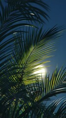 Palm Leaves Against the Sky