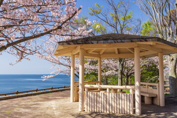 桜満開・神戸市須磨浦公園の春