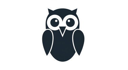 Obraz premium Large eyed black owl icon with white accents on plain background