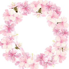 Cherry blossom wreath, hand-painted watercolor flowers circular frame, isolated on white background. Elegant spring border perfect for wedding design, invitations, greeting cards and romantic decor