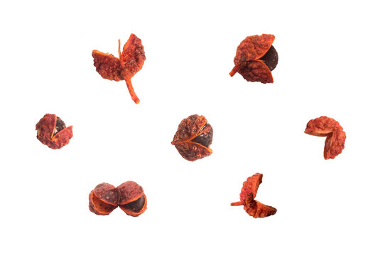 Set of dried red sichuan peppercorns whole isolated on a transparent background.