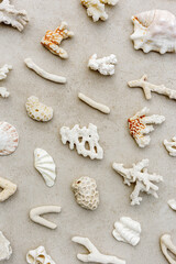 Minimal beige natural white ivory corals and seashells on sandy background, organic marine texture, creative flat lay composition with sun shadow, monochrome coastal aesthetic, nautical design style.