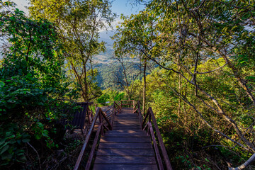 Obraz premium panoramic background of high mountain scenery, overlooking the atmosphere of the sea, trees and wind blowing in a cool blur, spontaneous beauty