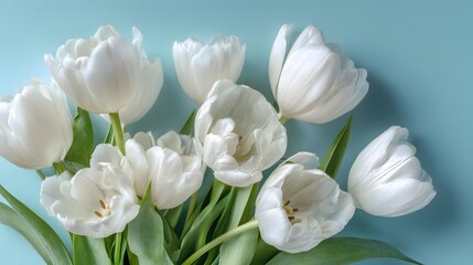 Elegant White Tulip Bouquet Against a Soft Blue Background - A Floral Display.